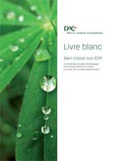 Livre blanc - Bien choisir son ERP