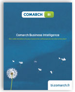 Plaquette Business Intelligence