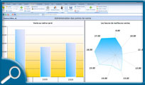 Comarch ERP retail - analyse des ventes